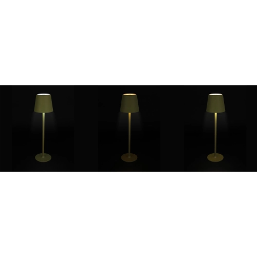 Lampka BIURKOWA NOCNA LED 01969